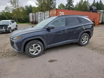 2023 Hyundai Tucson KM8JBCAE3PU215428 Lot 65678545