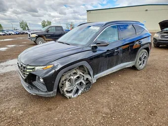2024 Hyundai Tucson KM8JCCD14RU181914 Lot 57503226