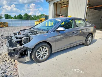 2019 Hyundai Sonata 5NPE24AF7KH774763 Lot 59343196