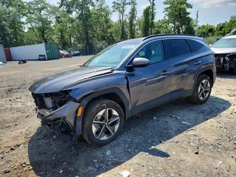2025 Hyundai Tucson Hybrid KM8JCDD14SU389917 Lot 60696396