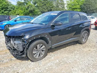 2023 Hyundai Tucson KM8JBCA16PU094861 Lot 54789406