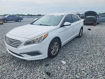 2015 Hyundai Sonata 5NPE24AF0FH171708 Lot 61520886