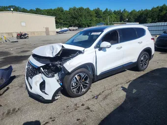 2020 Hyundai Santa Fe 5NMS5CAA6LH299744