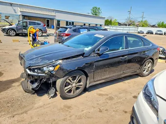 2019 Hyundai Sonata 5NPE34AF4KH805545 Lot 53985496