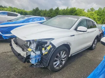 2019 Infiniti QX50 3PCAJ5M31KF116248