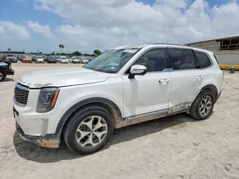 2020 Kia Telluride 5XYP34HC0LG083651
