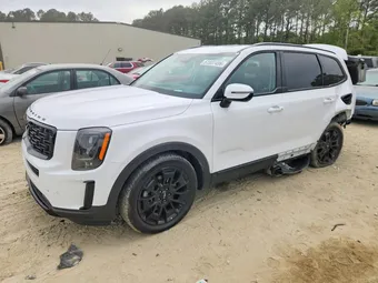2022 Kia Telluride 5XYP5DHC6NG309754