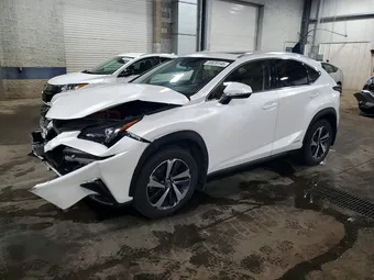 2020 Lexus NX 300H JTJGJRDZ4L5004145