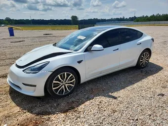 2021 Tesla Model 3 5YJ3E1EA5MF091456 Lot 55342676