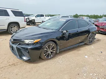 2019 Toyota Camry 4T1B11HK5KU829851 Lot 60611866