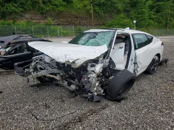 2023 Acura Integra 19UDE4H38PA022374