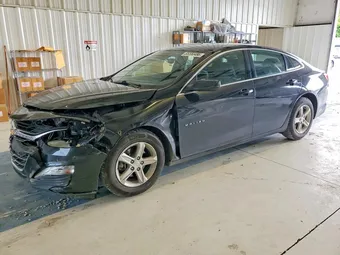 2020 Chevrolet Malibu 1G1ZC5STXLF108445 Lot 55550486