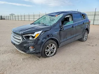 2019 Ford Escape 1FMCU9GD5KUC38013 Lot 49602946