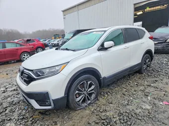 2021 Honda CR-V NJ2441E