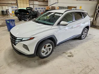 2024 Hyundai Tucson 5NMJBCDE6RH428335