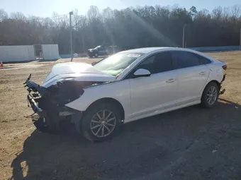 2019 Hyundai Sonata 5NPE24AF8KH744817 Lot 48551915