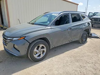 2024 Hyundai Tucson 5NMJBCDEXRH391841