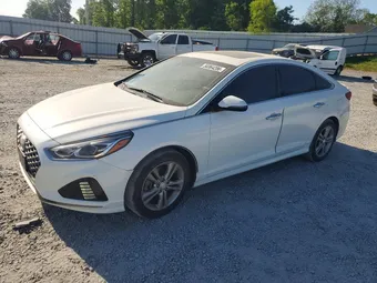 2019 Hyundai Sonata 5NPE34AF3KH743684 Lot 50364286
