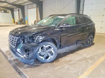 2024 Hyundai Tucson 5NMJECDE8RH365455