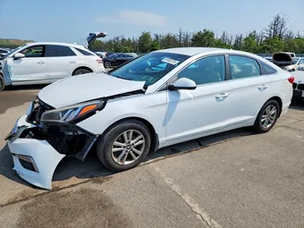 2015 Hyundai Sonata 5NPE24AF7FH147695 Lot 58982276