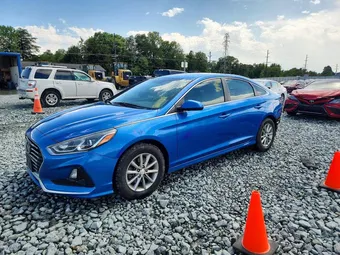 2019 Hyundai Sonata 5NPE24AF4KH783596 Lot 57731086