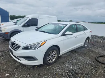 2017 Hyundai Sonata 5NPE24AF9HH480712 Lot 63006116