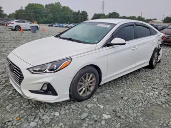 2019 Hyundai Sonata 5NPE24AF2KH739709 Lot 62916366