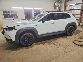 2025 Mazda CX-50 7MMVAADW7SN131665