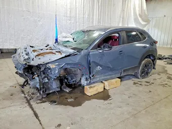 2025 Mazda CX-30 3MVDMBCM0SM779849