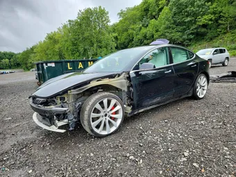 2019 Tesla Model 3 5YJ3E1EB0KF440366 Lot 63003686