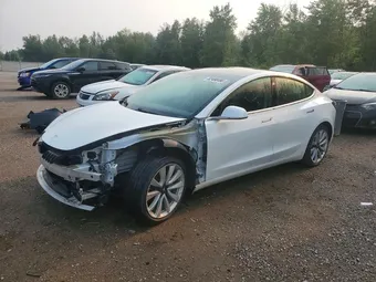 2019 Tesla Model 3 5YJ3E1EA5KF480403 Lot 62490486
