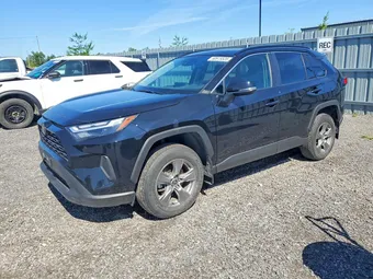 2024 Toyota RAV4 2T3R1RFV4RC443953 Lot 60979526