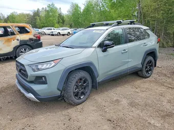 2019 Toyota RAV4 2T3J1RFV3KW048356 Lot 53997406