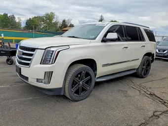 2015 Cadillac Escalade 1GYS4MKJ5FR727269