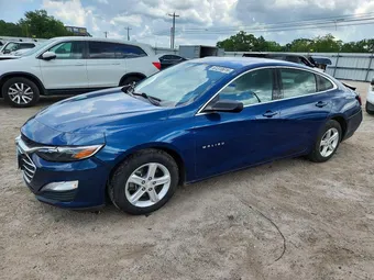 2019 Chevrolet Malibu 1G1ZB5STXKF182496 Lot 61318616