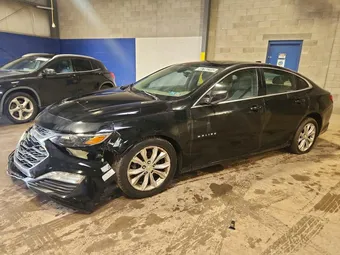2019 Chevrolet Malibu 1G1ZD5STXKF219086