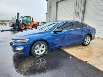 2019 Chevrolet Malibu 1G1ZB5ST7KF131098