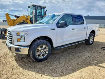 2015 Ford F-150 1FTEW1EG7FKE31741 Lot 55924806