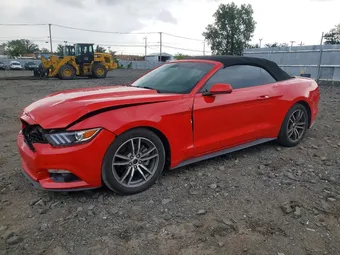 2017 Ford Mustang 1FATP8UH9H5204453 Lot 59400256
