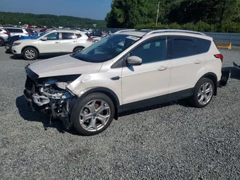 2019 Ford Escape 1FMCU0J98KUA58704 Lot 61159126