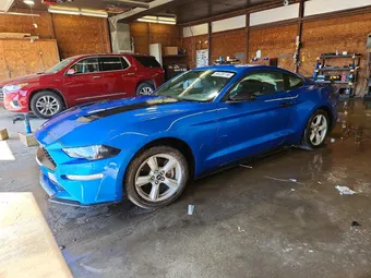 2019 Ford Mustang 1FA6P8TH0K5103453 Lot 54420716