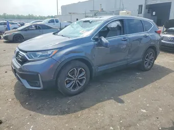 2020 Honda CR-V 2HKRW2H89LH611454 Lot 61784166