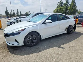 2023 Hyundai Elantra 5NPLM4AG7PH088837 Lot 54008506
