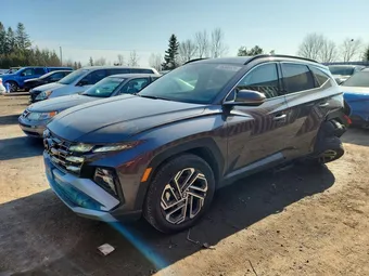 2025 Hyundai Tucson KM8JDDD21SU358243