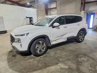 2023 Hyundai Santa Fe 5NMS2DAJ0PH646215