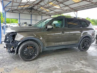 2024 Kia Telluride 5XYP5DGC2RG519601