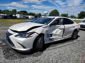 2019 Lexus ES 350 58ABZ1B19KU023304