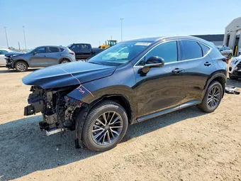 2025 Lexus NX 2T2GKCEZ9SC033942