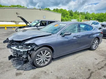 2019 Lexus ES 350 58ABZ1B11KU048004