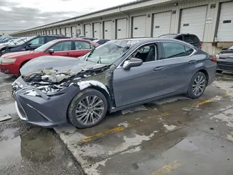 2021 Lexus ES 250 58AD11D16MU002023
